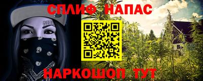 гидра Балахна