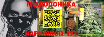 крисы Балаково