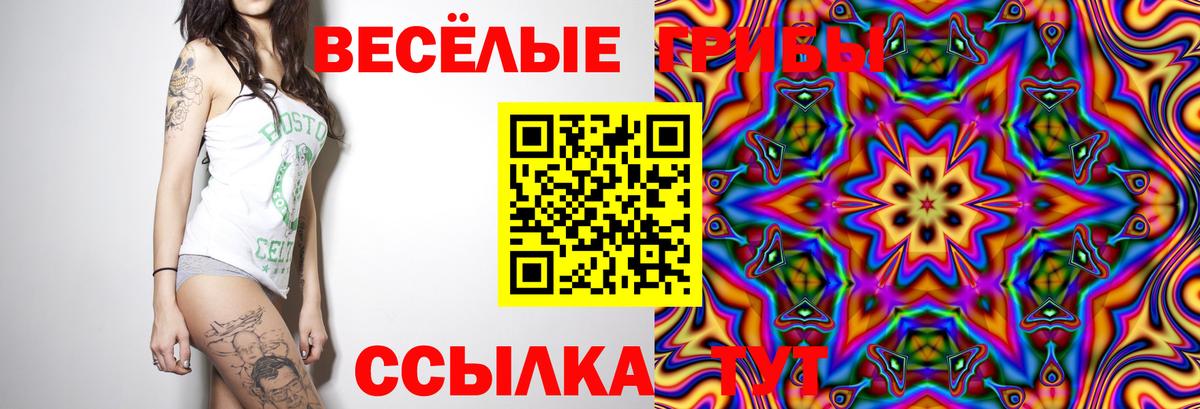 цена   Псилоцибиновые грибы мухоморы  Вход с VPN  Горячий Ключ 